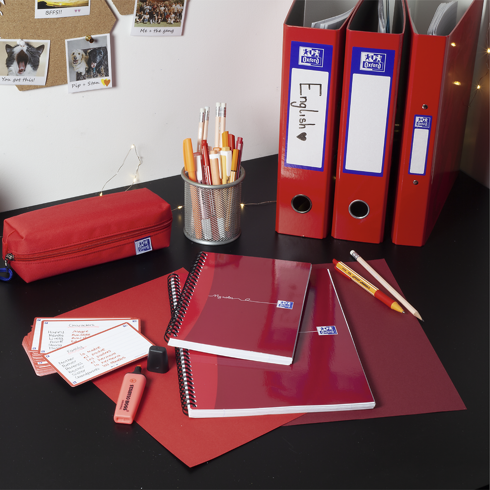 Oxford My Notes Rose Pink A4 Card Cover Wirebound Notebook, Ruled with Margin and Perforated, 200 Pages