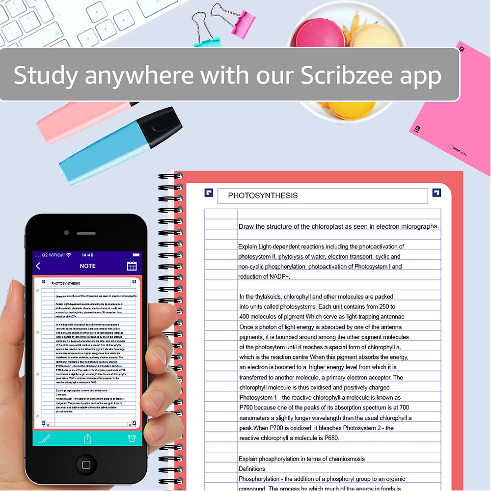 Oxford Campus A4 Revision book, Red