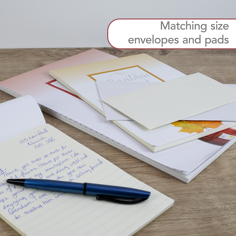 Basildon Bond Duke (95x143mm) Envelopes 20 Pack, Champagne