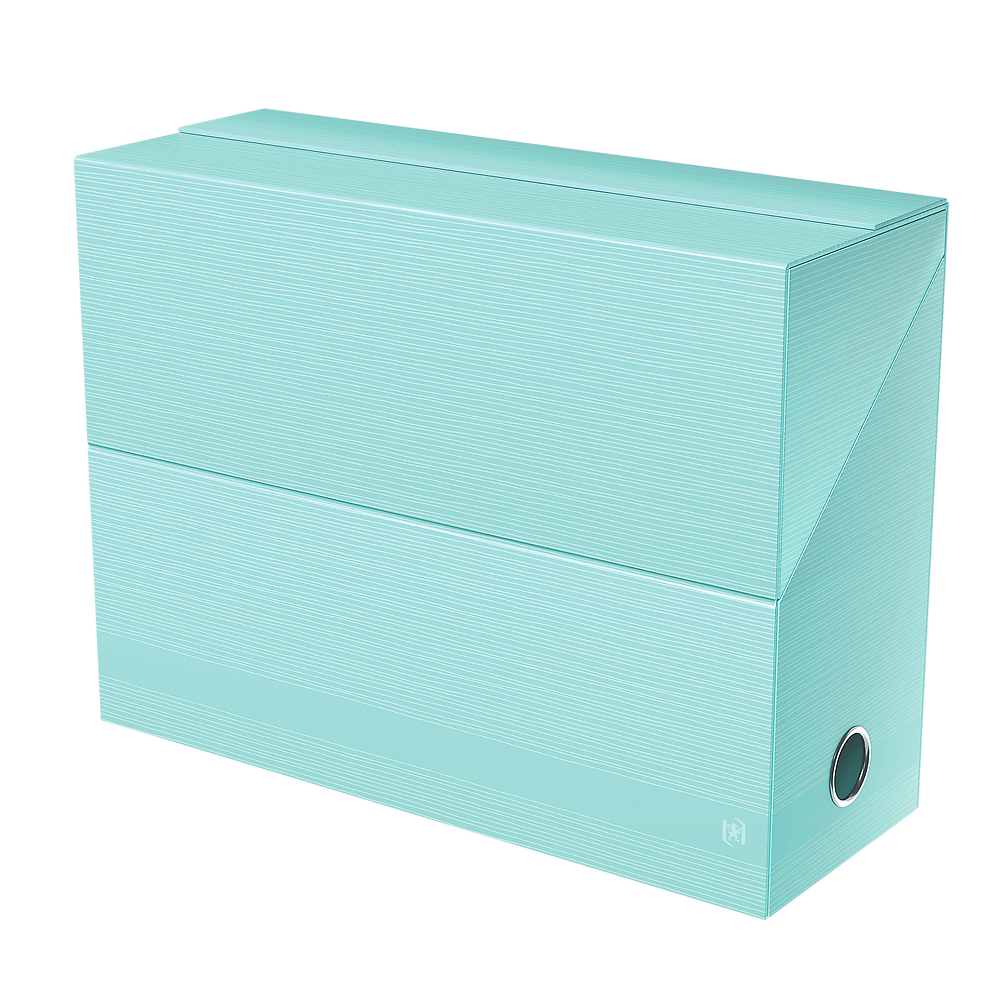 Oxford Desktop Organiser Spine 120 Laminated Card Pastel Green