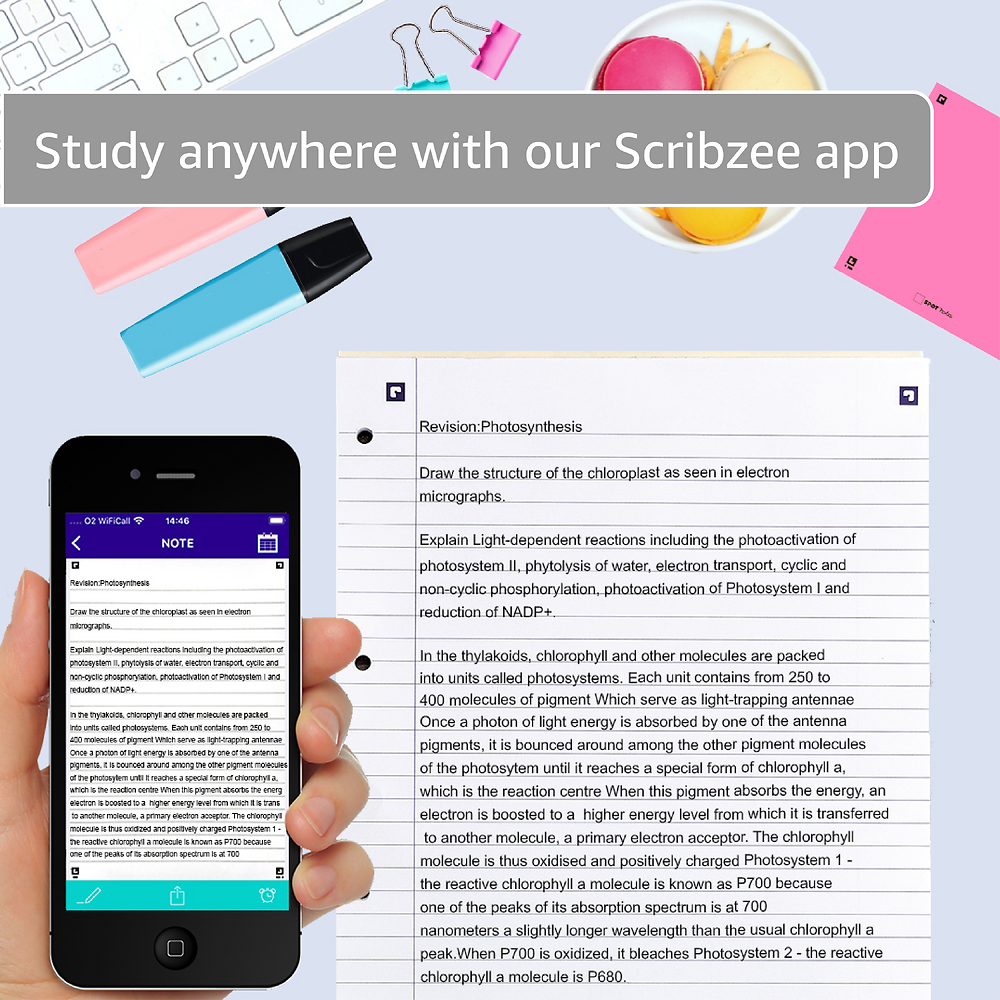 Oxford Campus Pastel Pink A4 Headbound Refill Pad Ruled with Margin 140 Pages