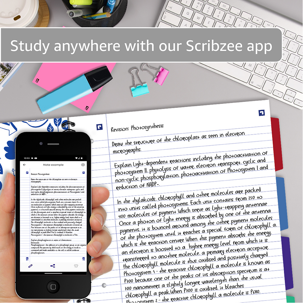 Oxford Campus Red Project Book A4+ Card Cover Wirebound Ruled with Margin 200 Pages