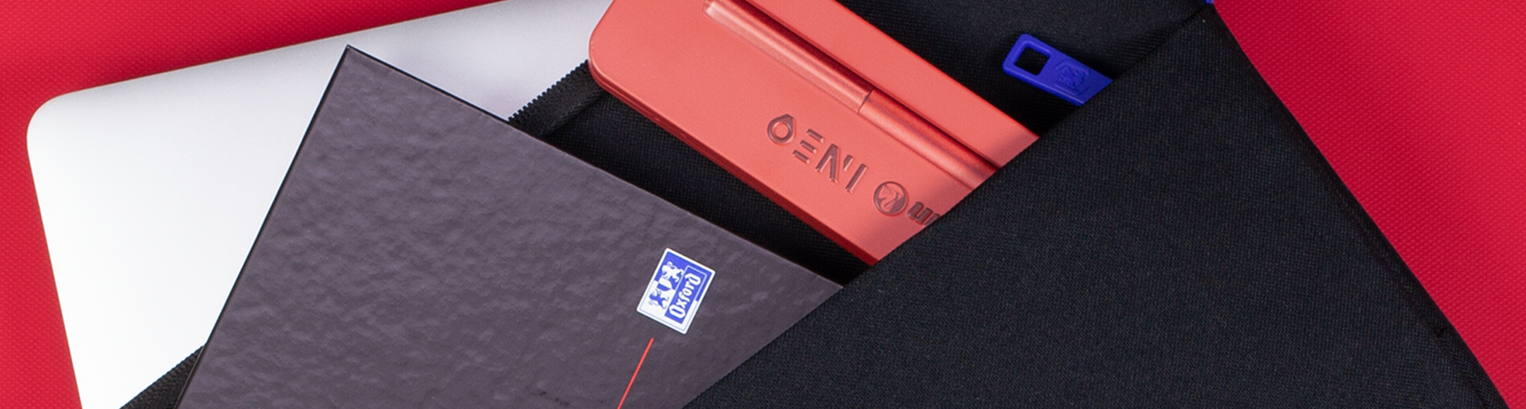 Professional Development