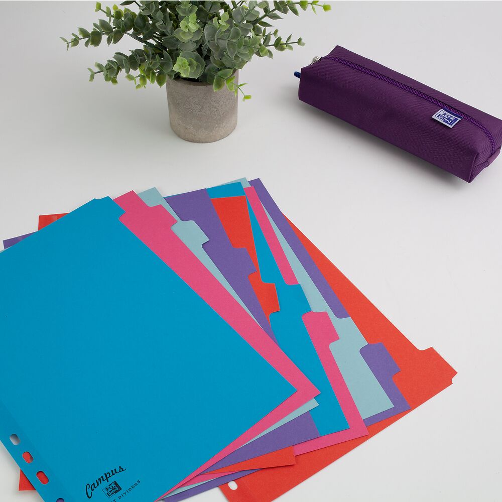 Oxford A4 10 Part Card Dividers Assorted
