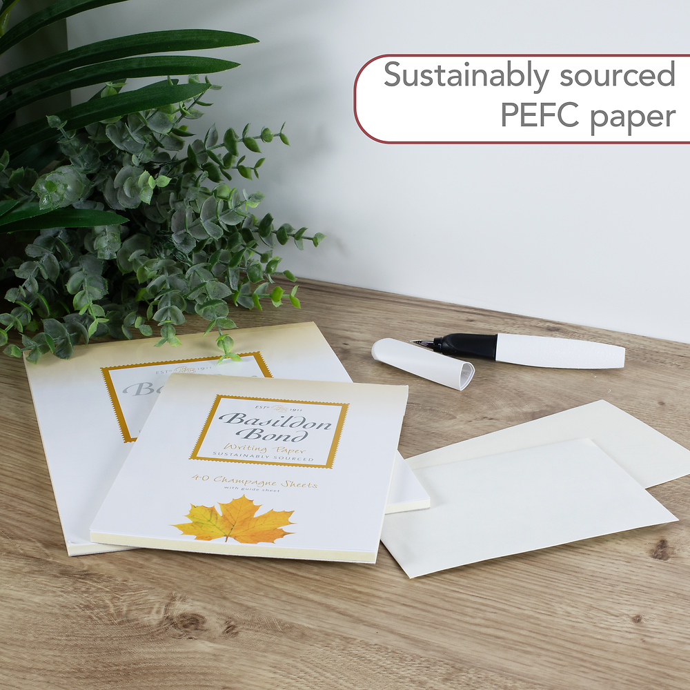 Basildon Bond Duke (95x143mm) Envelopes 20 Pack, Champagne