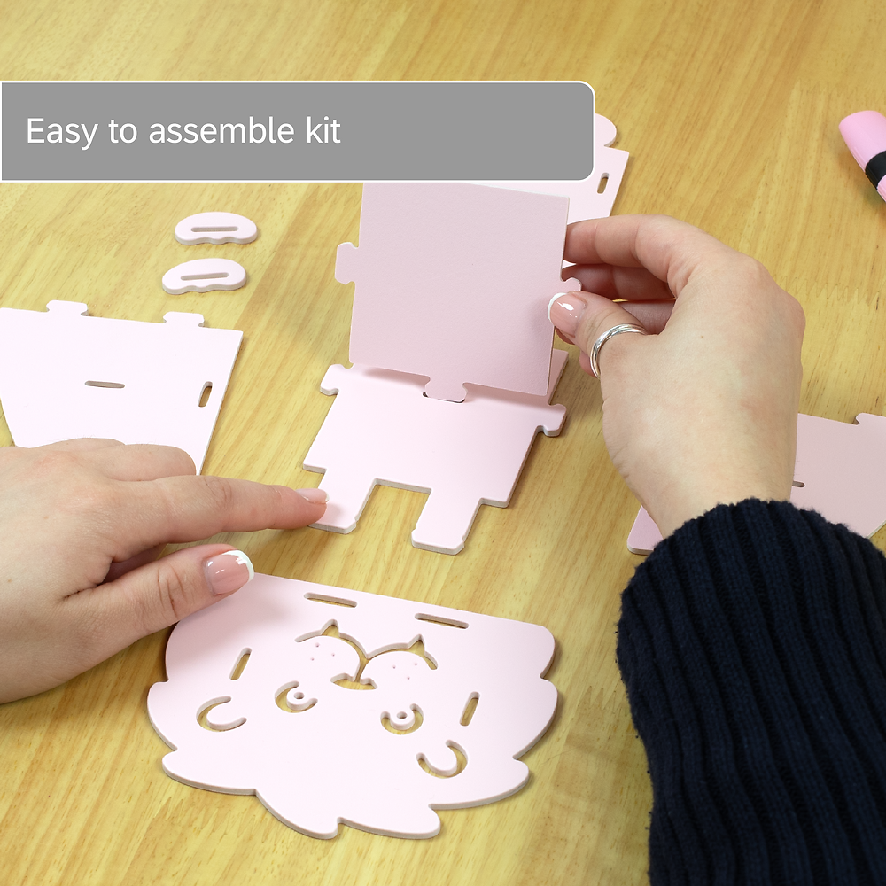 Oxford Leo&Co Desk Organiser Foam PP, Pink Lion