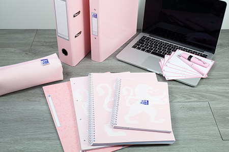 Oxford Pastel Pink A4 Notebook, A5 Notebook, Pencil Case, Ring Binder, Flash Cards and Pelikan Pens on desk