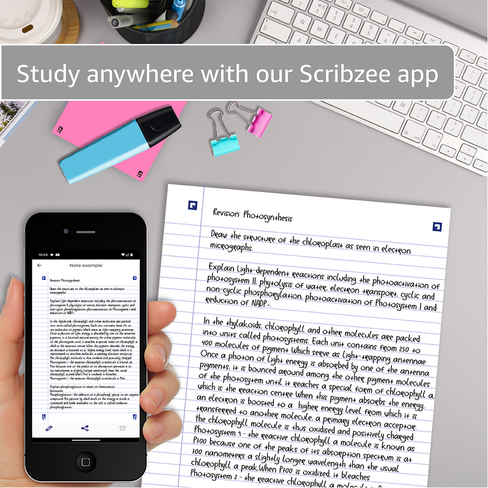 Oxford Campus A4 Red Sidebound 300 Page Ruled Refill Pad