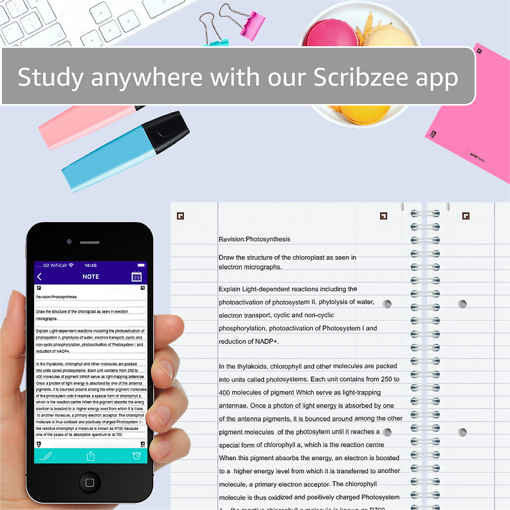 Oxford Campus Pastel Pink A4+ Card Cover Wirebound Notebook Ruled with Margin 140 Pages